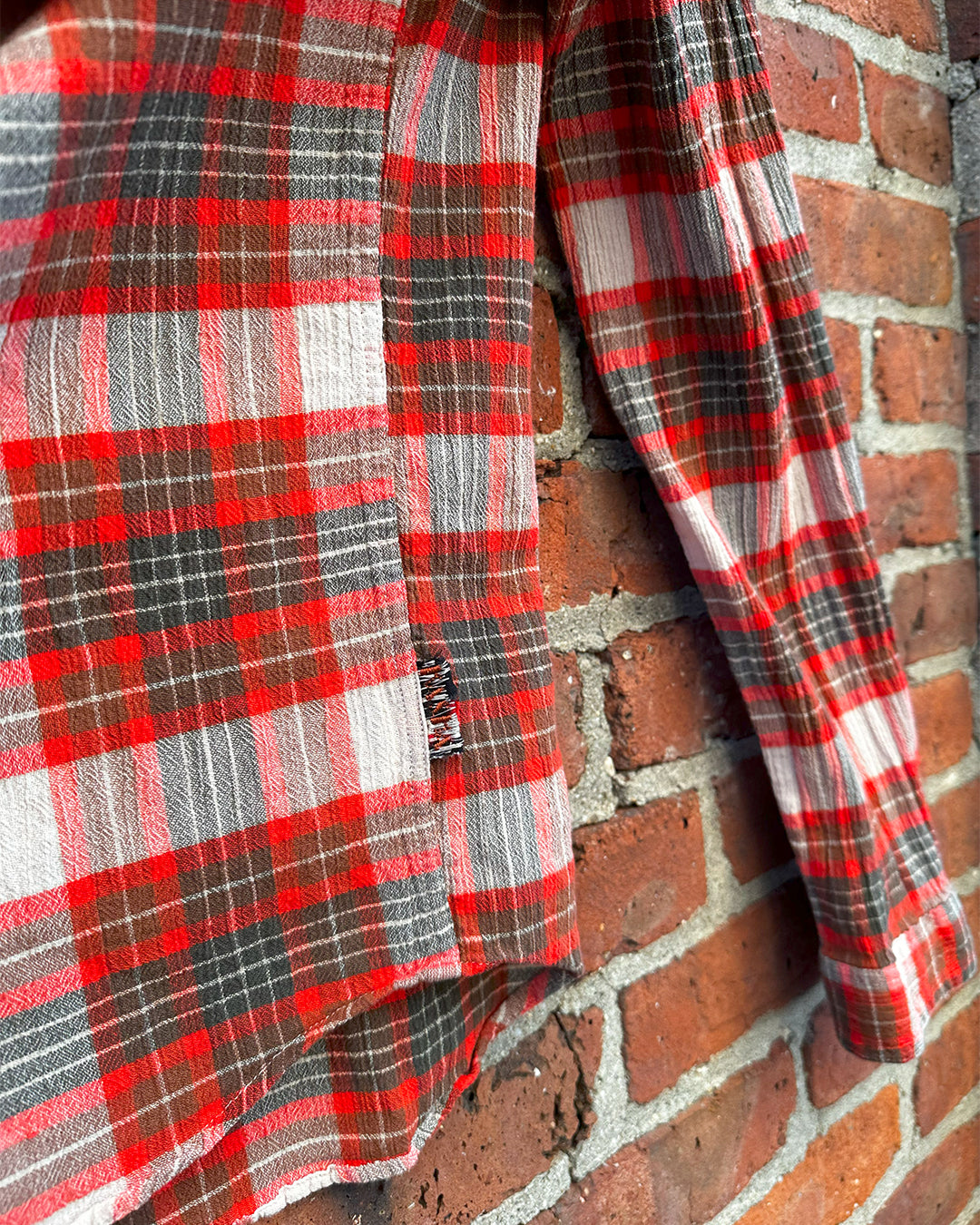 Plenty Pennies Button Down