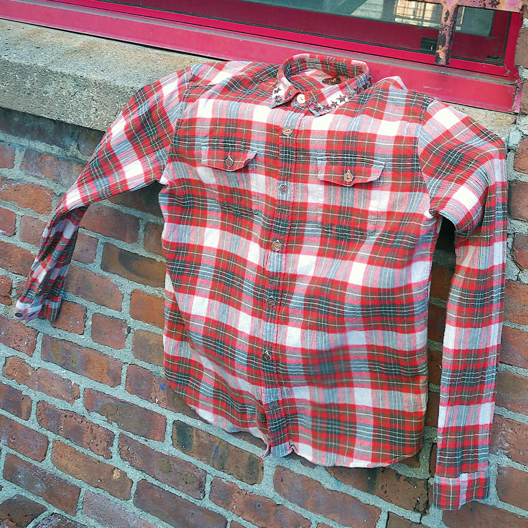 Plenty Pennies Button Down